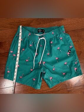 Hollister Teal Swim Trunks with Pink Flamingo Print